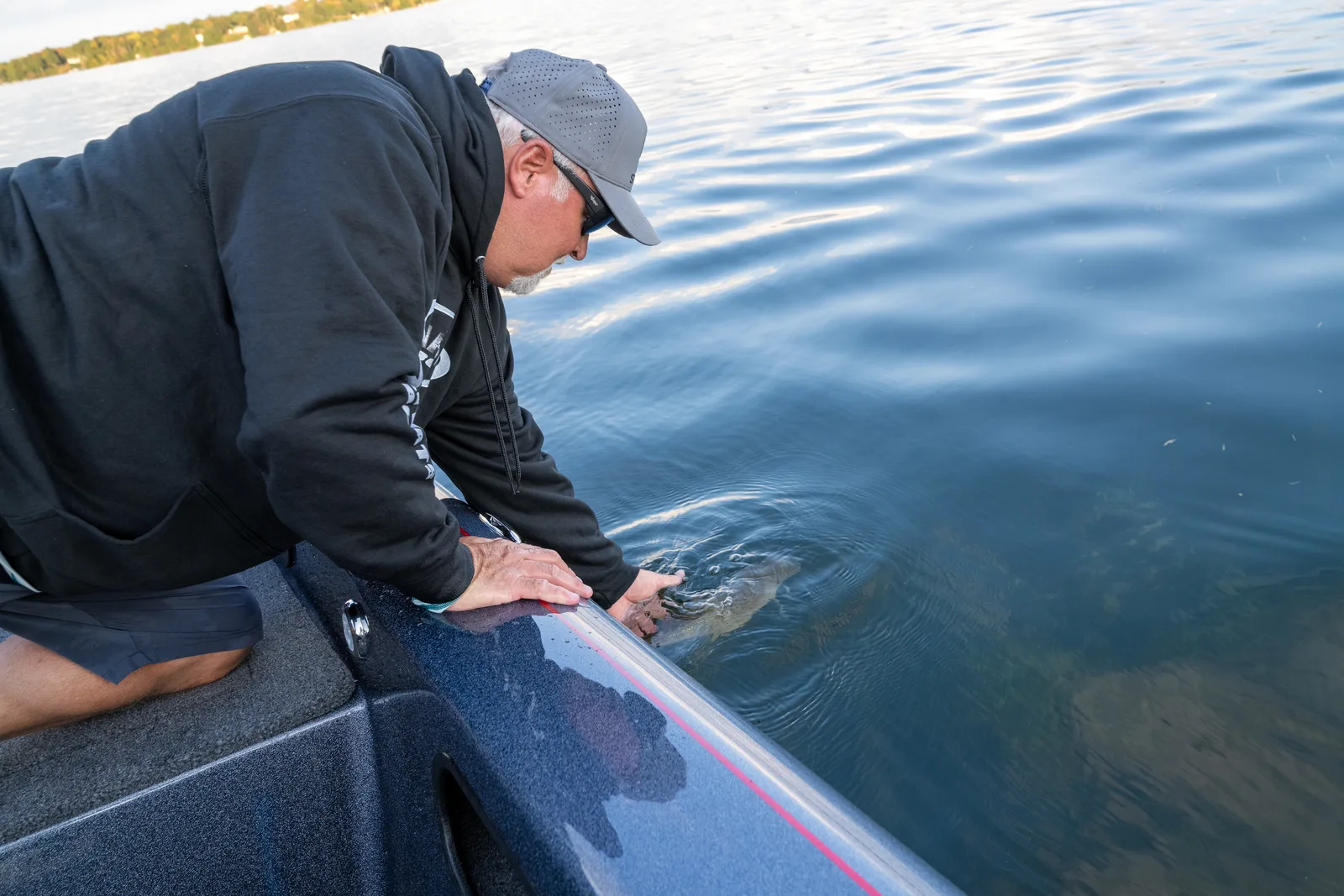 V203 on the water