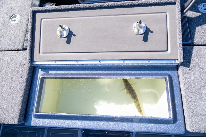 An open rear livewell in the deck with water inside and a walleye swimming, its carpeted lid raised.