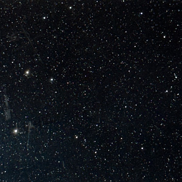 Black Pearl reference photo