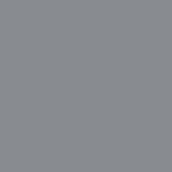 Light Gray reference photo